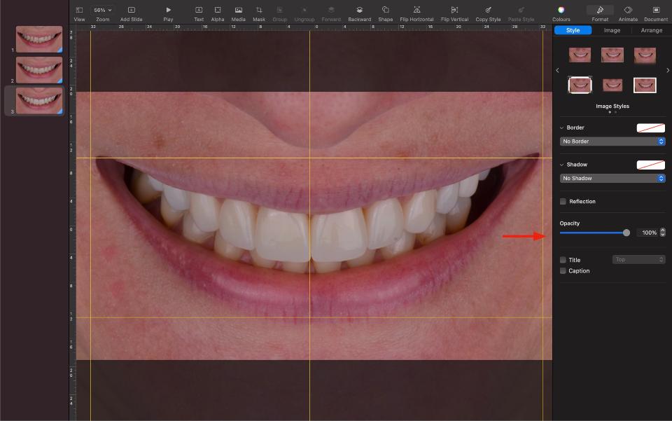 Fig. 6: Finalizando após foto com diminuição de opacidade