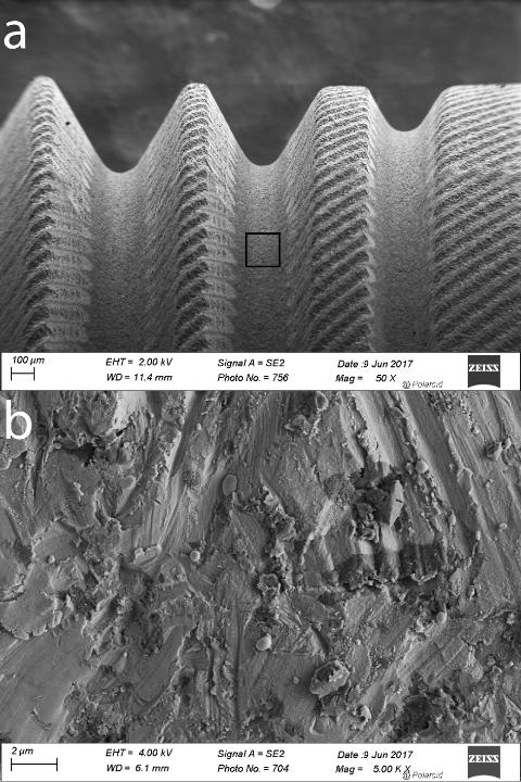 Fig. 5: Zirkolith Z5m implant (Z-Systems) showing a variety of surface textures. The area of interest is marked with a black rectangle (a). At 5,000x magnification, (b) the surface shows grinding and sandblasting marks