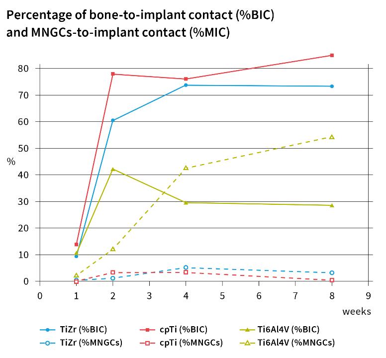 Fig. 20: Graph illustrating the effect of the implant materials on the percentage of bone-to-implant contact (%BIC) and the percentage of implant surface along the grooves covered with multinucleated giant cells (%MNGCs) over time (from Saulacic et al. 2012 with permission)
