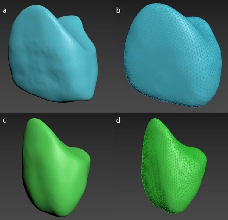 Fig. 10: Exemplos de coroas geradas por IA para incisivos centrais (a) e laterais (c) usando a rede neural convolucional de Feng et al. (2023), juntamente com sua ground truth correspondente (b e d).