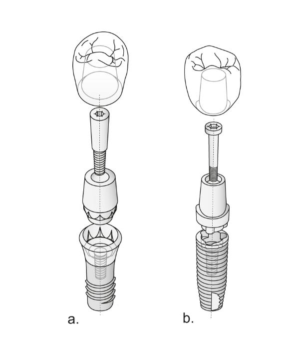 Fig. 3: a: Elementary abutment b: Abutment-transgingival collar complex. Note that all components (implant cylinder, abutment, screw) are co-axial