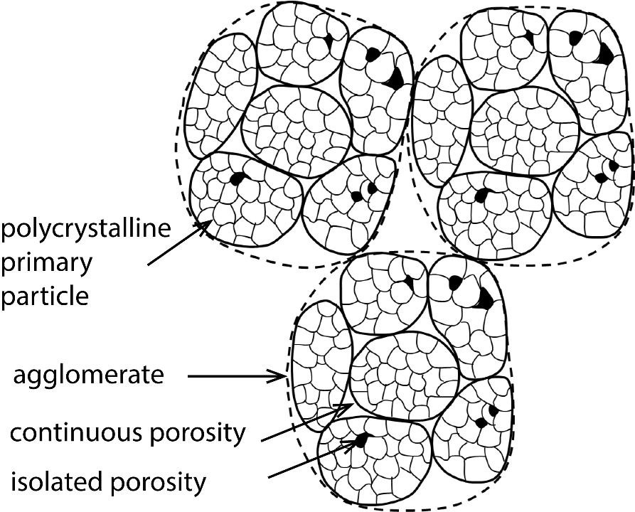 Fig. 2: Schematic powder representation showing agglomerates consisting of polycrystalline primary particle. Porosities may be intraparticle (isolated), interparticle (continuous) or interagglomerate. Schematic adapted from Rahaman M.N. (Rahaman 2007)
