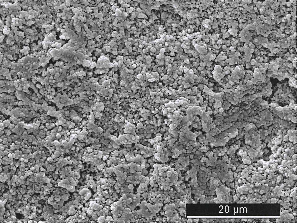 Fig. 5: Scanning electron micrograph of a zirconia surface after sandblasting and alkali etching (from Saulacic et al. 2012 with permission)