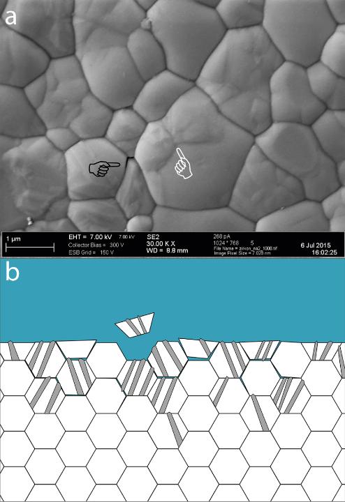Fig. 10: (a) SEM image of a dental zirconia showing initial signs of LTD on the surface with partially transformed grains (white pointer) and cracking at grain boundaries (black pointer). (b) Schematic of LTD evolving into the zirconia bulk, showing cracking at grain boundaries between partially transformed grains (stripes) and untransformed grains (no stripes) creating a path for water diffusion