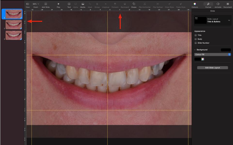 Fig. 4: Usando linhas amarelas tiradas das réguas para ajustar a posição da foto